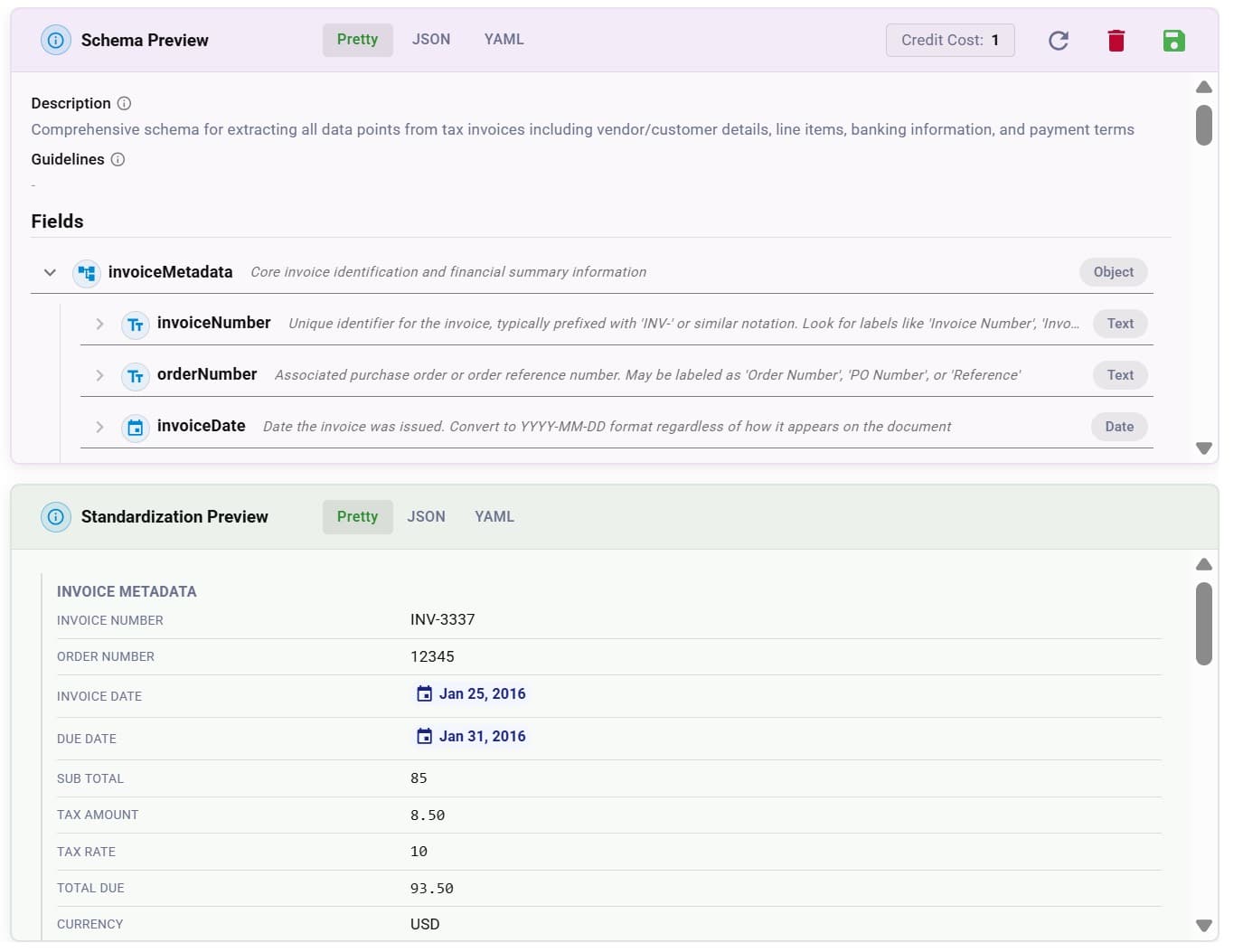 DocuPipe intelligent document processing schema with custom field definitions and live extraction preview showing structured invoice data